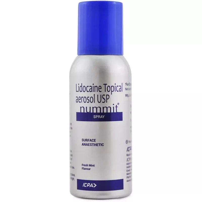 Nummit Spray Fresh Mint - 100g
