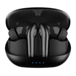 pTron Newly Launched Zenbuds Evo X1 Pro In-Ear TWS Earbuds, 65Hrs Playtime, Quad Mic TruTalk ENC Calls,Deep Bass,Bluetooth 5.3 Headphones,Fast Type-C Charging,Voice Asst. Touch Controls & IPX5 (Black)