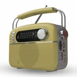 iGear Evoke FM/AM/SW with MP3 Player Bluetooth, USB, TF/SD Card, inbuilt 1200 mAh Rechargeable Battery (Gold Silver)