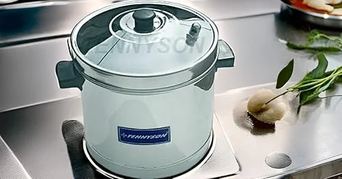 Tennyson Stainless Steel Outer Lid Idli Cooker Big (Without Plate), 5 liter - image 1